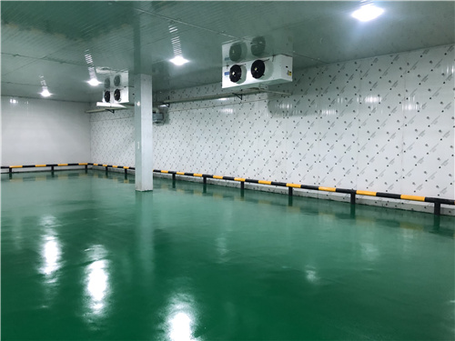 乐鱼官方网站蔬菜保鲜库